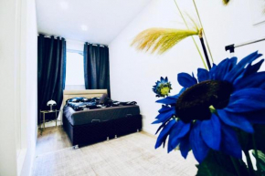 Beautiful 2BR and 1LR Apartment 10 Minutes to St Stephens